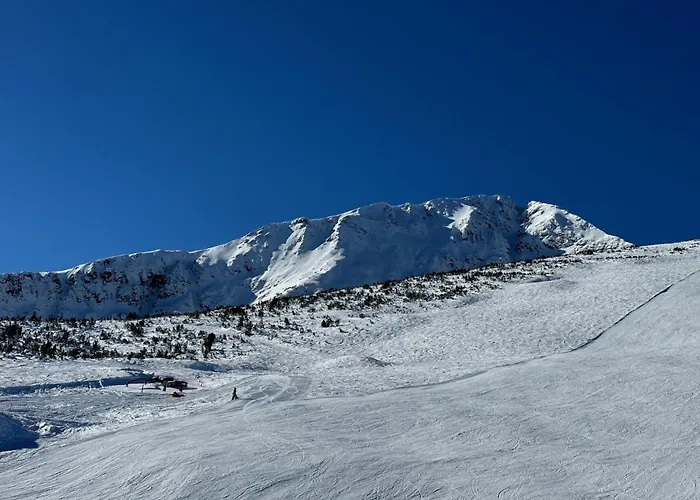 公寓式酒店 Family Luxury Private In 4 Star St Ivan Rilski, 4*