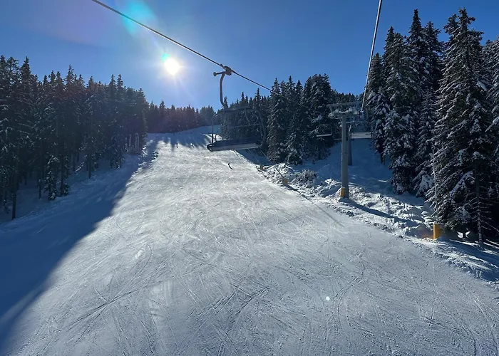 公寓式酒店 Family Luxury Private In 4 Star St Ivan Rilski,