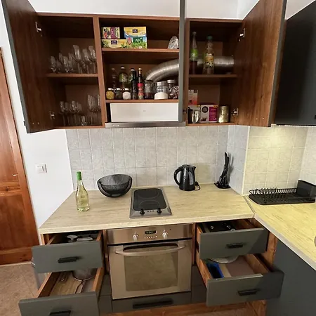 Family Luxury Private For 4 Max 6 People In 4 Star St Ivan Rilski, Aparthotel