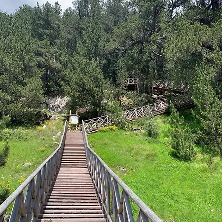 Апартхотел Family Luxury Private With Wellness In 4 Star St Ivan Rilski, Банско