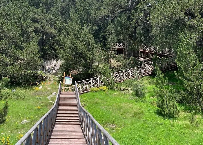 Aparthotel Family Luxury Private In 4 Star St Ivan Rilski, Bansko