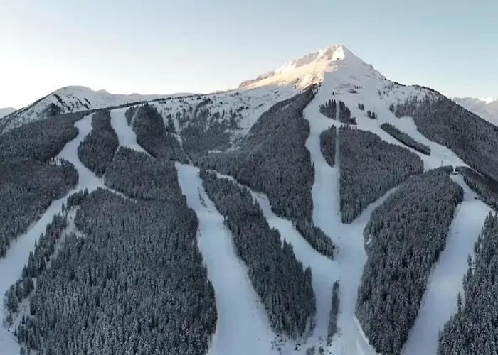 Family Luxury Private In 4 Star St Ivan Rilski, Apart Otel 4*