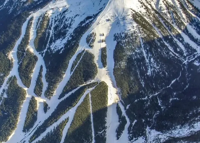 Family Luxury Private In 4 Star St Ivan Rilski, 4*